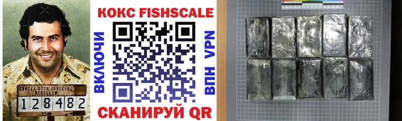 Cocaine Fish Scale  Волхов 