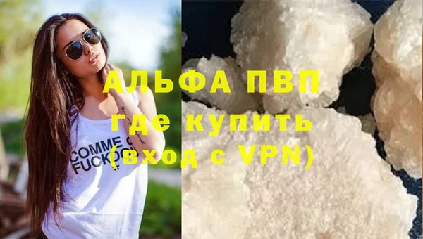 сатива Алзамай