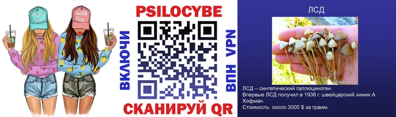нарко площадка какой сайт  Волхов  Галлюциногенные грибы Psilocybe 